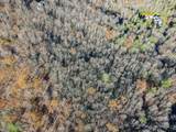 99999 Black Bear Ridge Trail - Photo 3