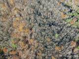 99999 Black Bear Ridge Trail - Photo 4