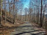 99999 Black Bear Ridge Trail - Photo 6