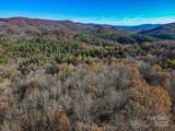 99999 Black Bear Ridge Trail - Photo 7