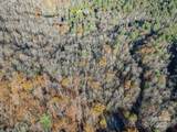 99999 Black Bear Ridge Trail - Photo 8