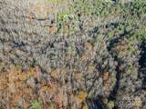 99999 Black Bear Ridge Trail - Photo 9