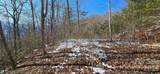 Lot 11 Bernies Trail - Photo 13