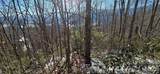 Lot 11 Bernies Trail - Photo 15