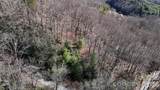 Lot 11 Bernies Trail - Photo 20