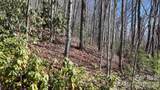 Lot 11 Bernies Trail - Photo 25