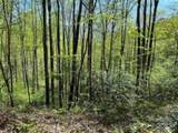TR 6 Little Bit Trail - Photo 4