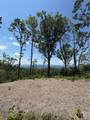Lot 50 Mountain Grove Lane - Photo 13