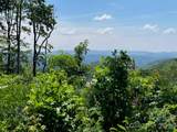 Lot 50 Mountain Grove Lane - Photo 17