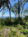 Lot 50 Mountain Grove Lane - Photo 20