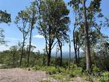Lot 50 Mountain Grove Lane - Photo 4