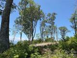 Lot 50 Mountain Grove Lane - Photo 10