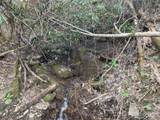 5 Copperhead Cove - Photo 13