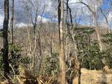 5 Copperhead Cove - Photo 9