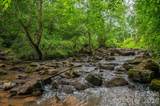 000 Wells Road - Photo 1
