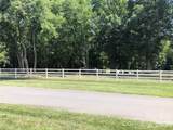 6639 Joli Cheval Lane - Photo 6