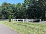 6639 Joli Cheval Lane - Photo 8