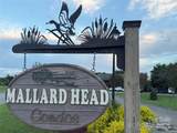 1011 Mallard Head Lane - Photo 3