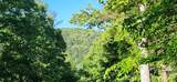 0 Buffalo Creek Road - Photo 14
