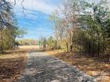 2095 Hatties Way - Photo 4