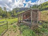 945 Roaring Fork Road - Photo 35