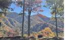 241 Bloom Trail - Photo 2