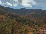 241 Bloom Trail - Photo 11