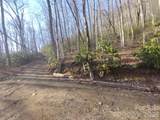 241 Bloom Trail - Photo 15