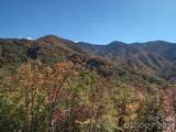 241 Bloom Trail - Photo 8