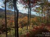 241 Bloom Trail - Photo 9