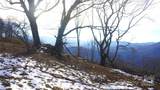 SR-1386 Sang Branch, Hog Branch Road - Photo 1