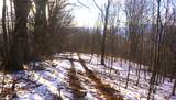 SR-1386 Sang Branch, Hog Branch Road - Photo 11
