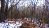SR-1386 Sang Branch, Hog Branch Road - Photo 12