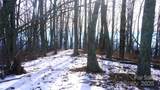 SR-1386 Sang Branch, Hog Branch Road - Photo 3