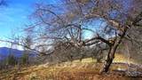 SR-1386 Sang Branch, Hog Branch Road - Photo 7