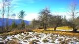 SR-1386 Sang Branch, Hog Branch Road - Photo 8
