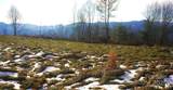 SR-1386 Sang Branch, Hog Branch Road - Photo 10