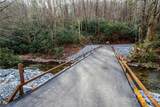 TBD Tannassee Creek Road - Photo 1