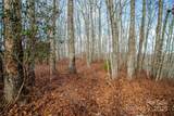 TBD Tannassee Creek Road - Photo 11