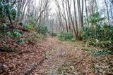 TBD Tannassee Creek Road - Photo 12