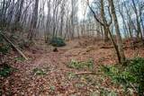 TBD Tannassee Creek Road - Photo 13