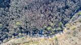 TBD Tannassee Creek Road - Photo 17