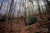 TBD Tannassee Creek Road - Photo 20