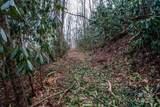 TBD Tannassee Creek Road - Photo 23