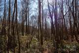 Lot 26 Big Branch Road - Photo 11
