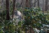 Lot 26 Big Branch Road - Photo 17