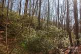 Lot 26 Big Branch Road - Photo 9