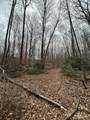 000 Lytle Cove Road - Photo 14