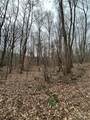 000 Lytle Cove Road - Photo 19