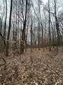 000 Lytle Cove Road - Photo 20
